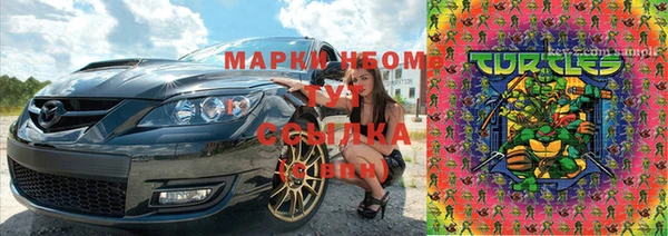 крисы Богородицк